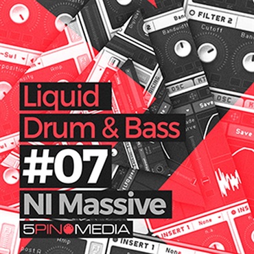 LIQUID DRUM & BASS NI MASSIVE(オンライン納品)(2時間以内に納品)