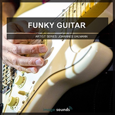 FUNKY GUITAR(オンライン納品)(2時間以内に納品)