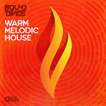 BLACK OCTOPUS WARM MELODIC HOUSE BY BOUND TO DIVIDE(オンライン納品)(2時間以内に納品)