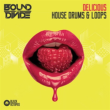 DELICIOUS HOUSE DRUMS & LOOPS(オンライン納品)(2時間以内に納品)