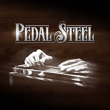 PEDAL STEEL(オンライン納品)(2時間以内に納品)