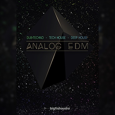 ANALOG EDM(オンライン納品)(2時間以内に納品)