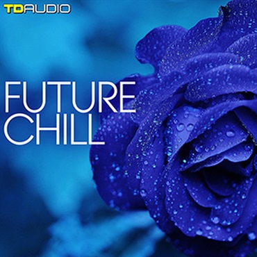 FUTURE CHILL(オンライン納品)(2時間以内に納品)