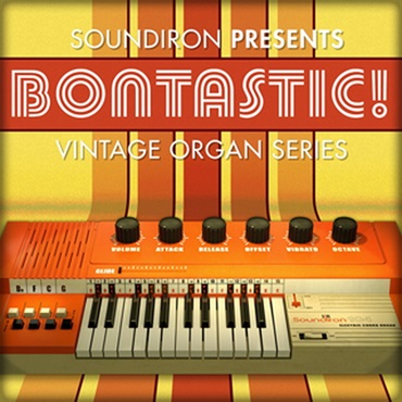 BONTASTIC!(オンライン納品)(2時間以内に納品)
