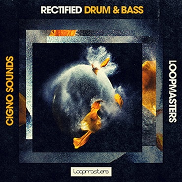 RECTIFIED DRUM & BASS(オンライン納品)(2時間以内に納品)