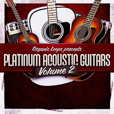 PLATINUM ACOUSTIC GUITARS 2(オンライン納品)(2時間以内に納品)