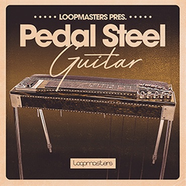 PEDAL STEEL GUITAR(オンライン納品)(2時間以内に納品)