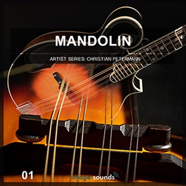 MANDOLIN 1(オンライン納品)(2時間以内に納品)