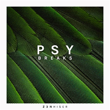 PSY BREAKS(オンライン納品)(2時間以内に納品)
