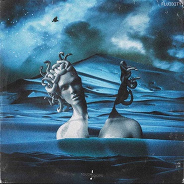 FLUIDITY(オンライン納品)(2時間以内に納品)