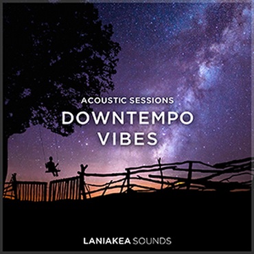 DOWNTEMPO VIBES(オンライン納品)(2時間以内に納品)