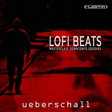 LOFI BEATS(オンライン納品)(2時間以内に納品)