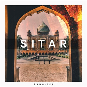 SITAR(オンライン納品)(2時間以内に納品)