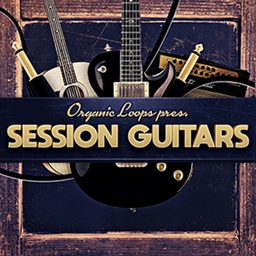 SESSION GUITARS(オンライン納品)(2時間以内に納品)
