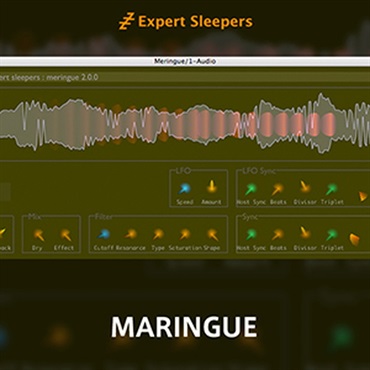 MARINGUE(オンライン納品)(2時間以内に納品)