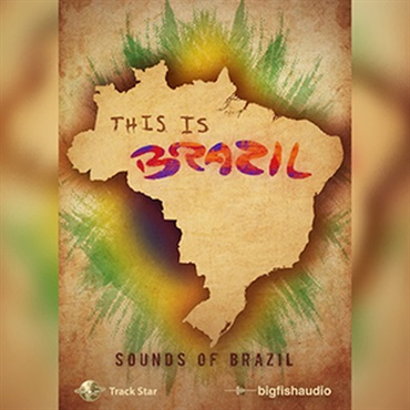 THIS IS BRAZIL(オンライン納品)(2時間以内に納品)