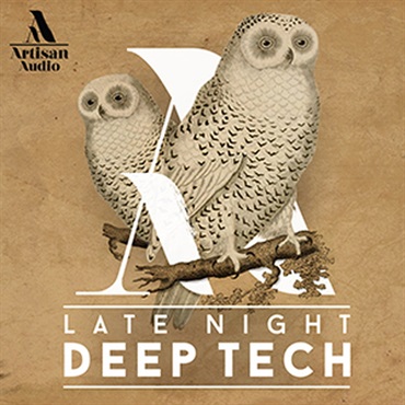LATE NIGHT DEEP TECH(オンライン納品)(2時間以内に納品)