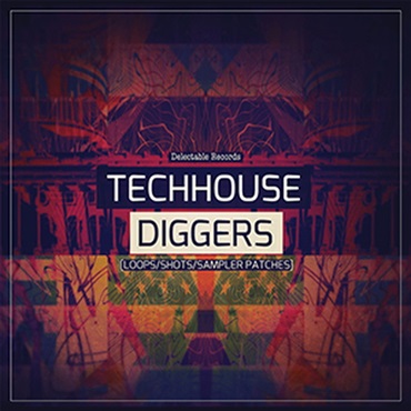 TECH HOUSE DIGGERS(オンライン納品)(2時間以内に納品)