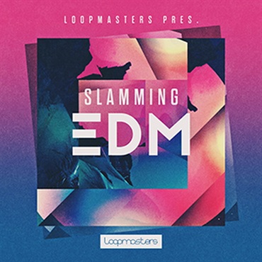 SLAMMING EDM(オンライン納品)(2時間以内に納品)