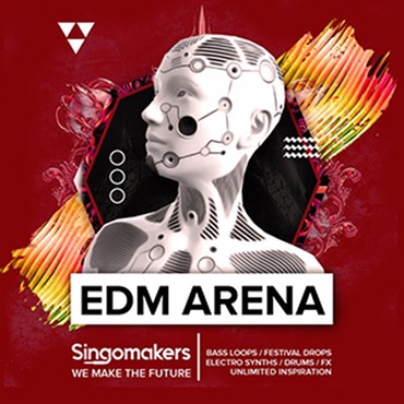 EDM ARENA(オンライン納品)(2時間以内に納品)