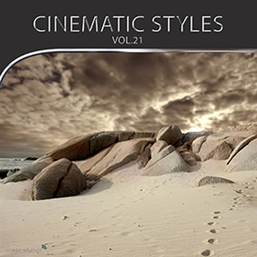 CINEMATIC STYLES 21(オンライン納品)(2時間以内に納品)