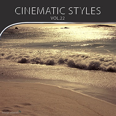 CINEMATIC STYLES 22(オンライン納品)(2時間以内に納品)