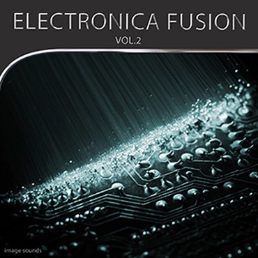 ELECTRONICA FUSION 2(オンライン納品)(2時間以内に納品)