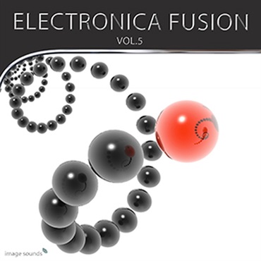 ELECTRONICA FUSION 5(オンライン納品)(2時間以内に納品)