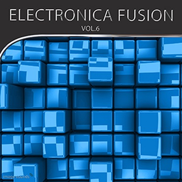 ELECTRONICA FUSION 6(オンライン納品)(2時間以内に納品)