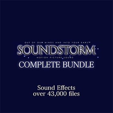 SOUNDSTORM FX BUNDLE(オンライン納品)(2時間以内に納品)