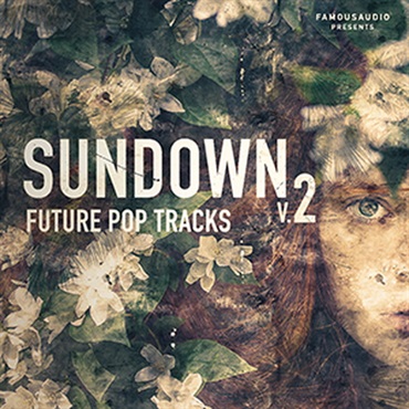 SUNDOWN 2 FUTURE POP TRACKS(オンライン納品)(2時間以内に納品)