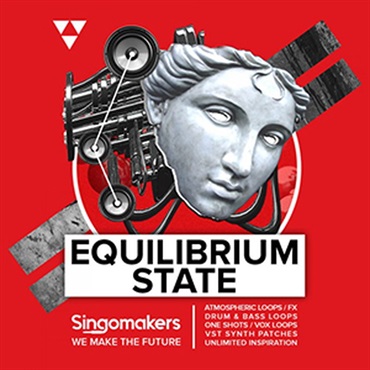 EQUILIBRIUM STATE(オンライン納品)(2時間以内に納品)
