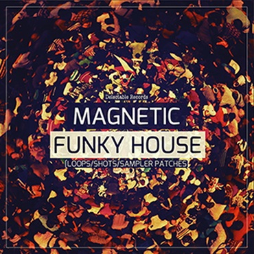 MAGNETIC FUNKY HOUSE(オンライン納品)(2時間以内に納品)