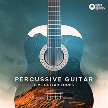 PERCUSSIVE GUITAR(オンライン納品)(2時間以内に納品)