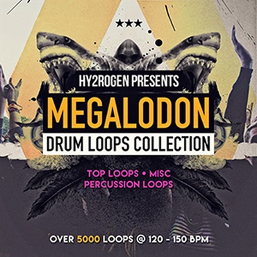 MEGALODON DRUM LOOPS COLLECTION(オンライン納品)(2時間以内に納品)