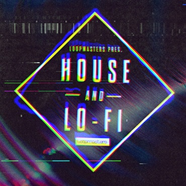 HOUSE & LOFI(オンライン納品)(2時間以内に納品)