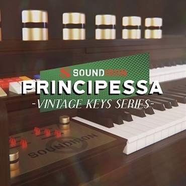 PRINCIPESSA(オンライン納品)(2時間以内に納品)