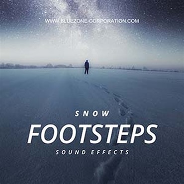 SNOW FOOTSTEPS SOUND EFFECTS(オンライン納品)(2時間以内に納品)