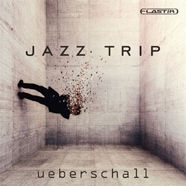 JAZZ TRIP(オンライン納品)(2時間以内に納品)