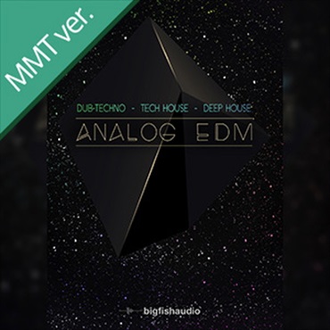 ANALOG EDM MMT(オンライン納品)(2時間以内に納品)