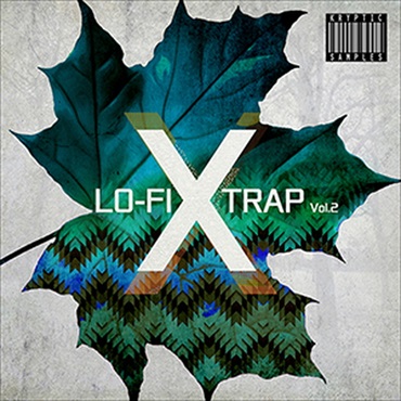 LO-FI X TRAP VOL 2(オンライン納品)(2時間以内に納品)