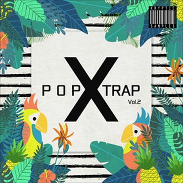 KRYPTIC SAMPLES POP X TRAP VOL 2(オンライン納品)(2時間以内に納品)