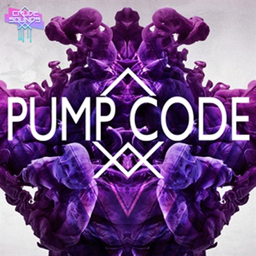 PUMP CODE(オンライン納品)(2時間以内に納品)