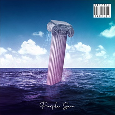 PURPLE SEA(オンライン納品)(2時間以内に納品)