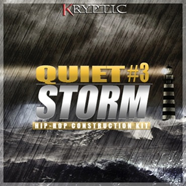 QUIET STORM 3(オンライン納品)(2時間以内に納品)