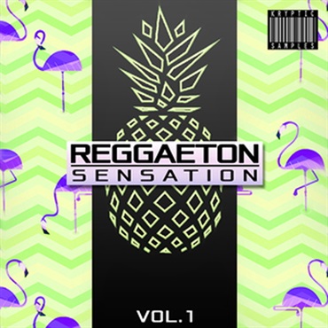 REGGAETON SENSATION VOL 1(オンライン納品)(2時間以内に納品)