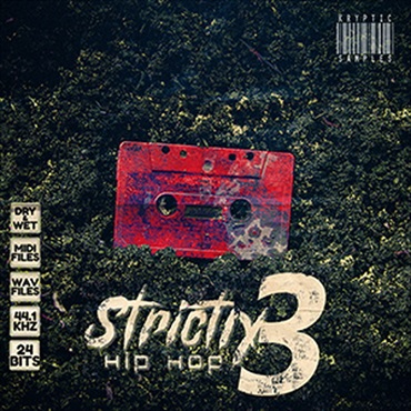 STRICTLY HIP-HOP 3(オンライン納品)(2時間以内に納品)