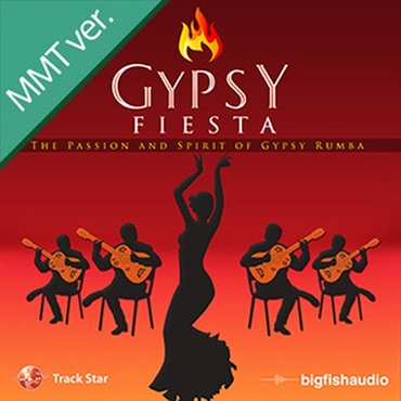 BIG FISH AUDIO GYPSY FIESTA MMT(オンライン納品)(2時間以内に納品)