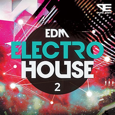 EDM ELECTRO HOUSE 2(オンライン納品)(2時間以内に納品)