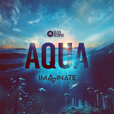 IMAGINATE - AQUA(オンライン納品)(2時間以内に納品)